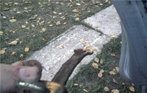post-654-1493789510,5337_thumb.jpg