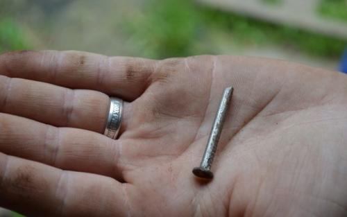 post-654-1493789590,795_thumb.jpg