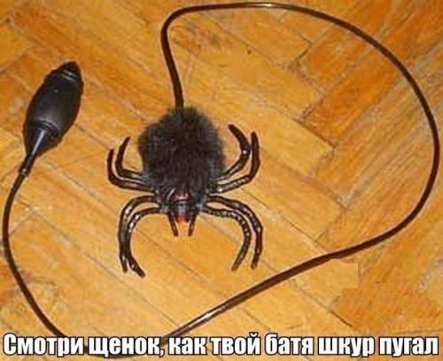 post-27053-0-55548900-1465305171_thumb.jpg